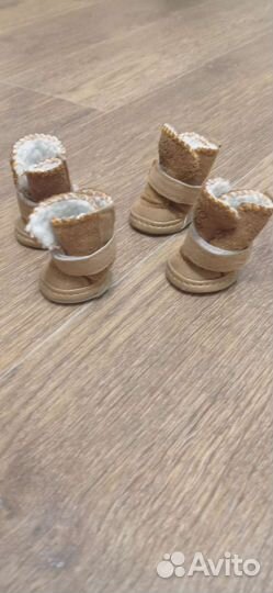 Обувь для маленьких собак