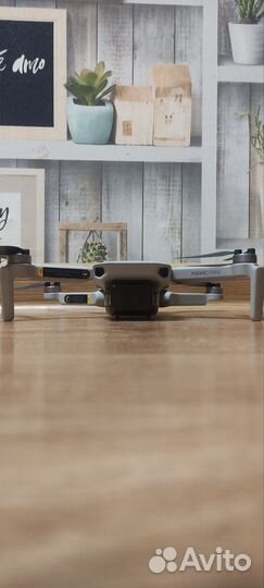Dji mavic mini