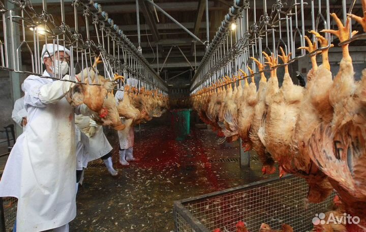 Забойщик птицы в г.Мелеуз