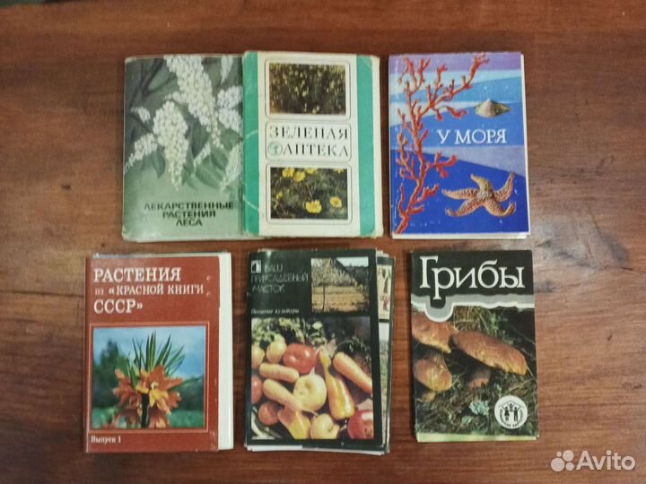 Открытки растения и животные