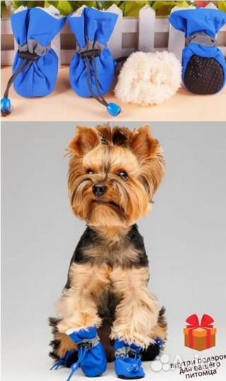 Обувь для собак мелких пород