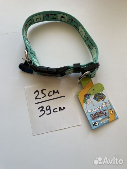 Поводок и ошейник