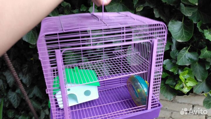 Клетка для грызунов