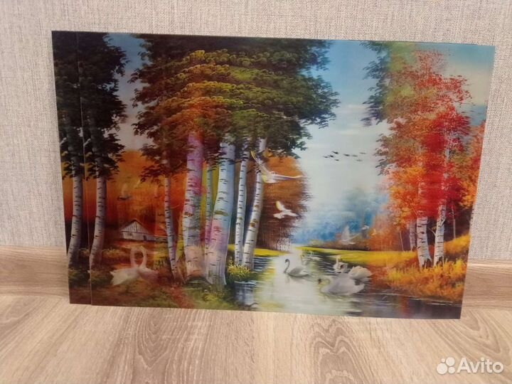 Картина 3d размер 49*34