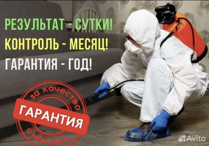 Уничтожение насекомых тараканов клопов блох