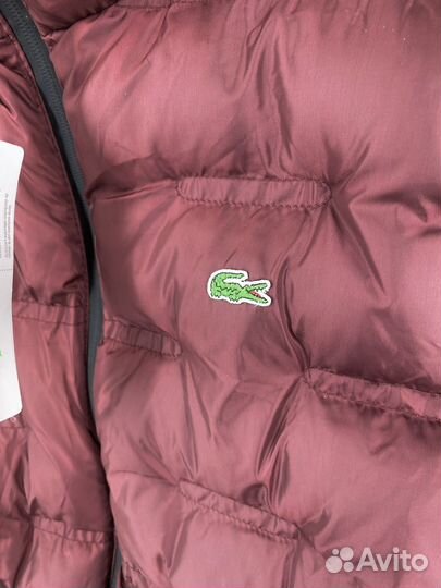 Жилетка lacoste