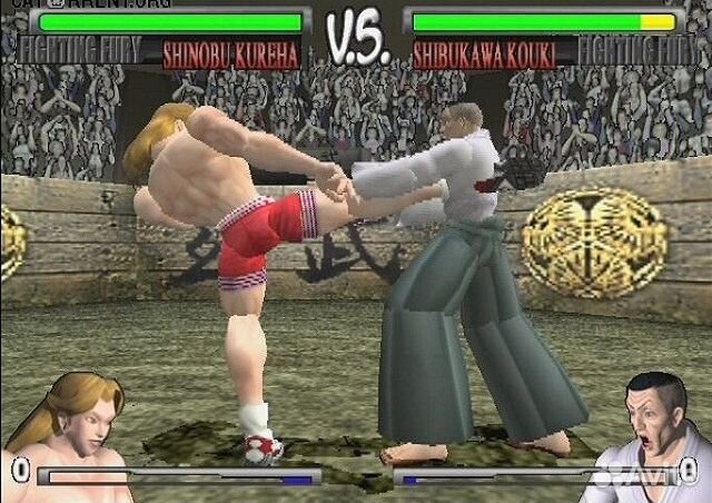 Fighting Fury, б/у, незнач.царап. (PS2)