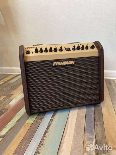Акустический комбоусилитель Fishman Loudbox Mini