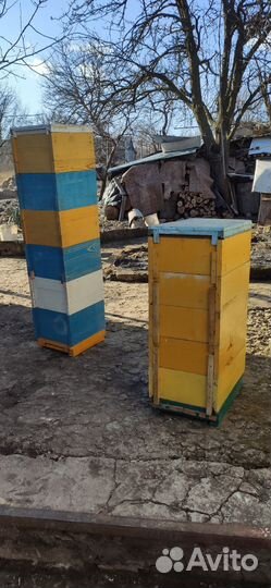 Ульи для пчел Дадан