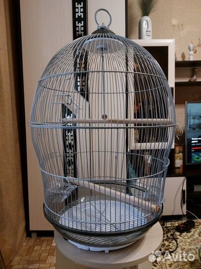 Клетка для среднего попугая