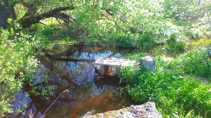 Участок 23,5 сот. (ИЖС)