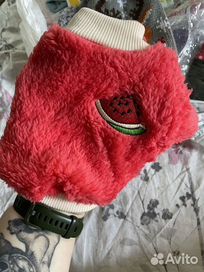 Одежда для собачки/кошки