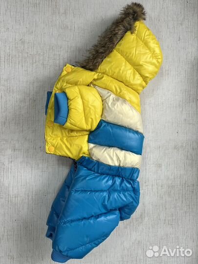 Комбинезон для маленькой собаки (мальчик)