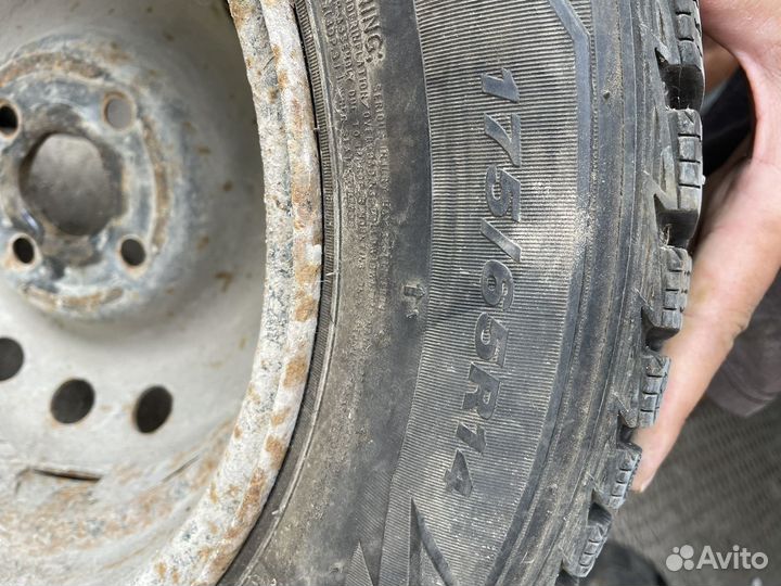 Nexen Winguard 175/65 R14