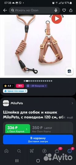 Шлейка с поводком