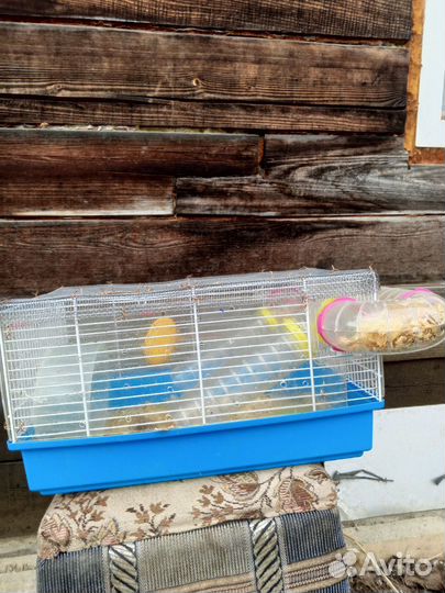 Клетка для грызунов бу