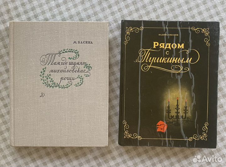 Книги о Петербурге. Литературный Петербург