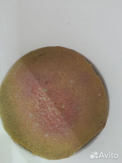 Живые культуры и растения