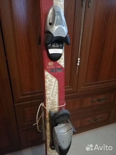 Горные лыжи