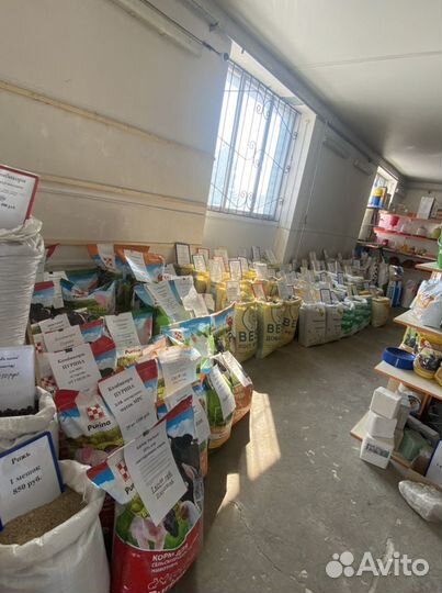 Яичная скорлупа молотая