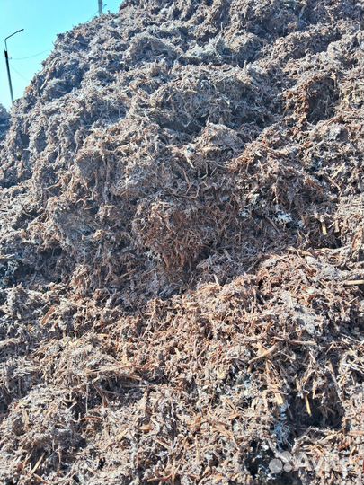 Перегной из под грибов шампиньонов