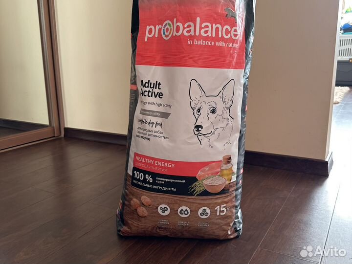 Корм для собак