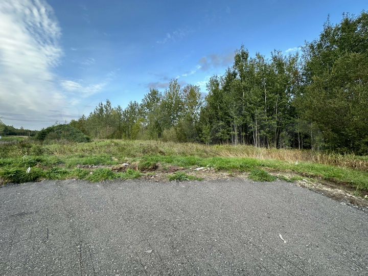 Участок 6,2 сот. (ИЖС)