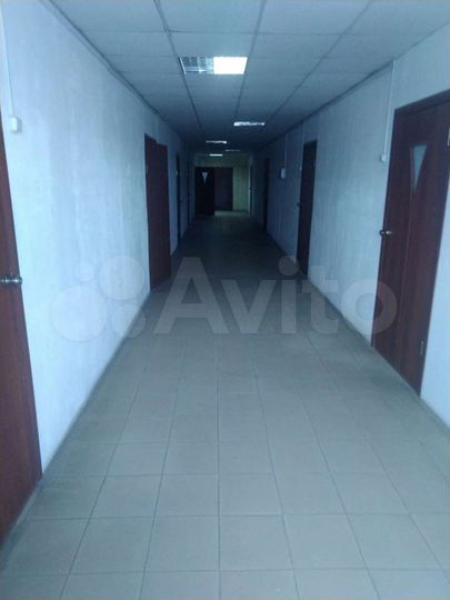 Помещение свободного назначения, 50-1200 м²