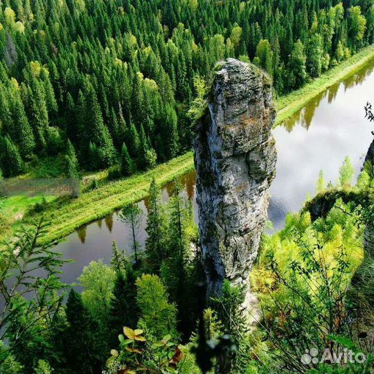 Катание на моторной лодке