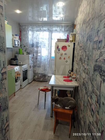 3-к. квартира, 58,5 м², 1/2 эт.