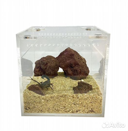 Террариум с магнитной крышкой