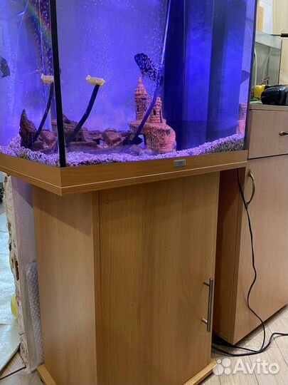 Аквариум с рыбами juwel 120 бу