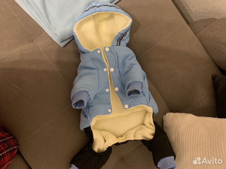 Новый Зимний костюм для собак
