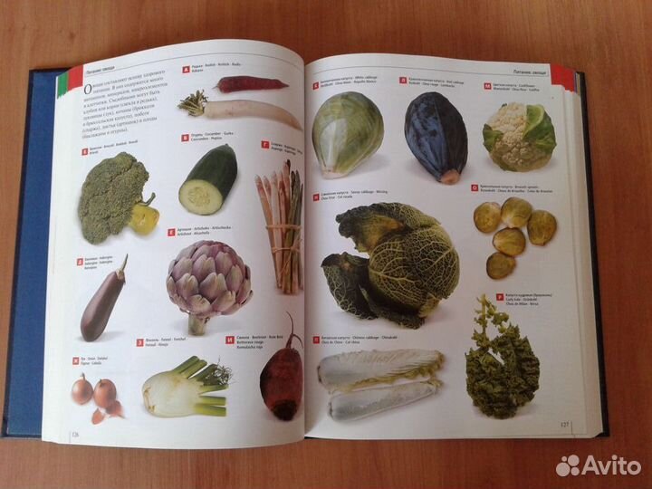 Большой иллюстрированный словарь