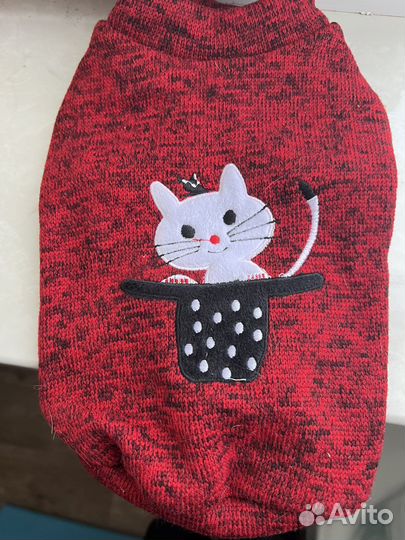 Свитер свитшот и Кашачья мята