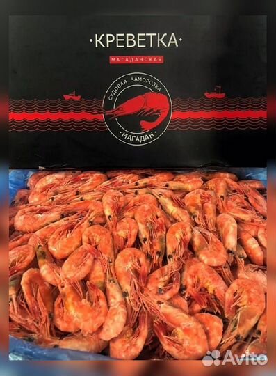 Креветка Северная