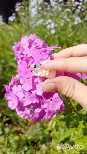 Кольцо Лягушка