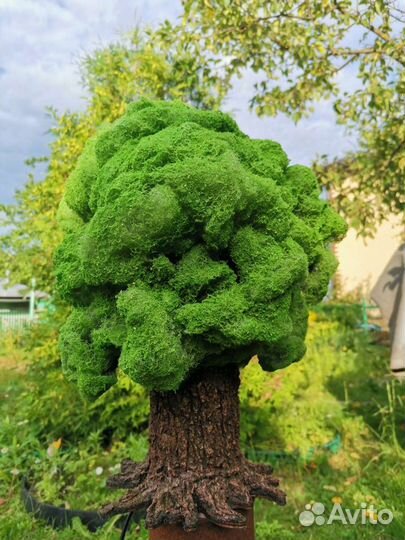 Ночник дерево