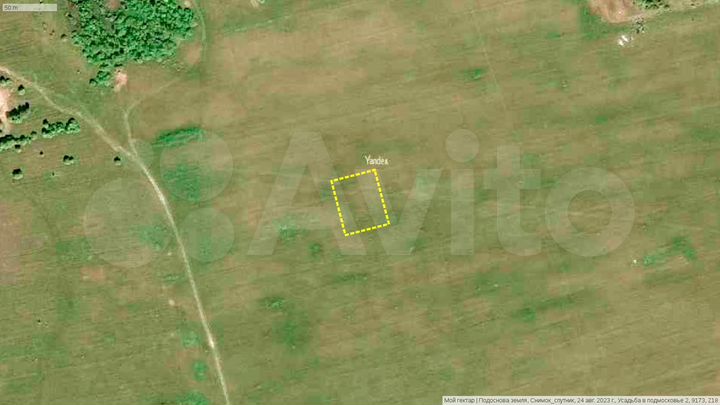 Участок 20 сот. (СНТ, ДНП)