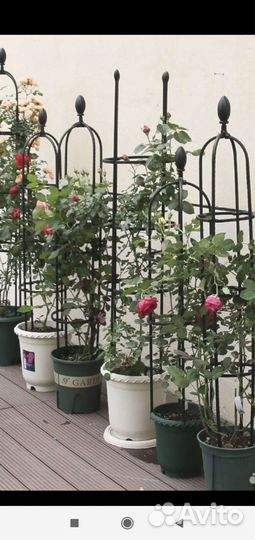 Опора для вьющихся растений, роз, клематисов