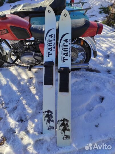 Лыжи охотничьи