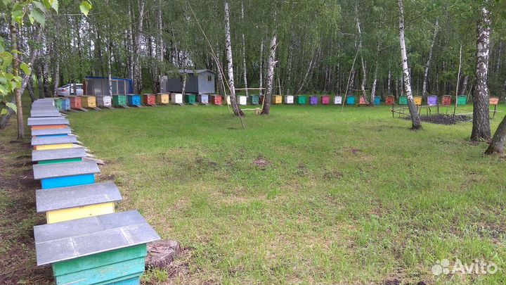 Мед, мёд натуральный