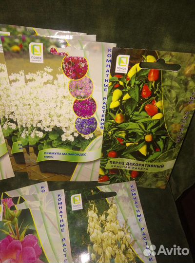 Семена комнатных цветов