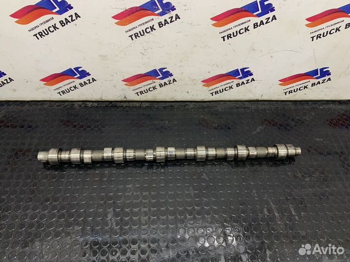 5010550876 Распредвал DCI11