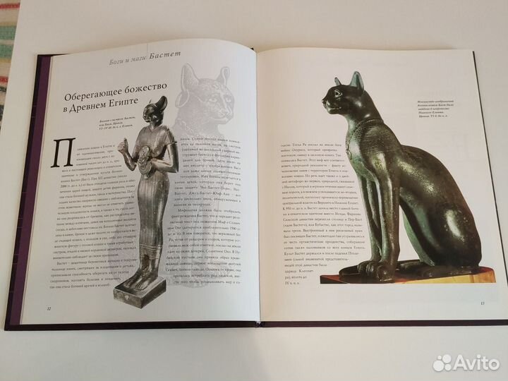 100 Легендарных Кошек Книга Энциклопедия