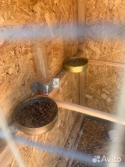 Клетка для попугая, для птиц