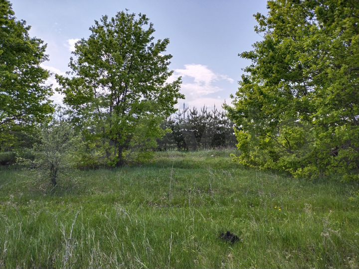 Участок 6,8 сот. (ИЖС)