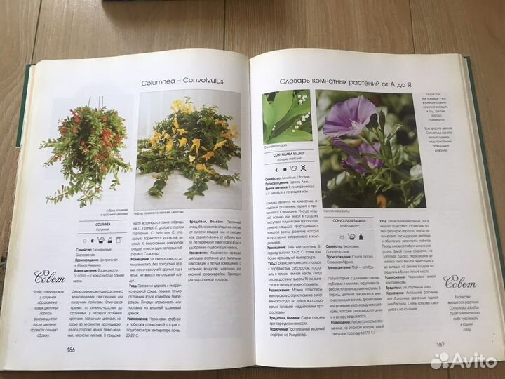 Книги-приусадебное хозяйство, сад, огород