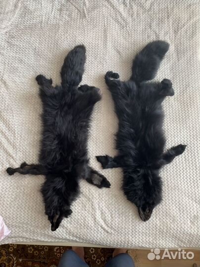 Шкурка животного