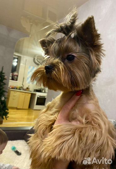 Йорк для вязки